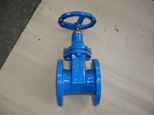 BS5163 gate valve