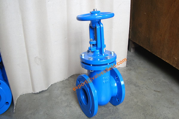 BS5163 metal Seated Rising Stem Gate Valve