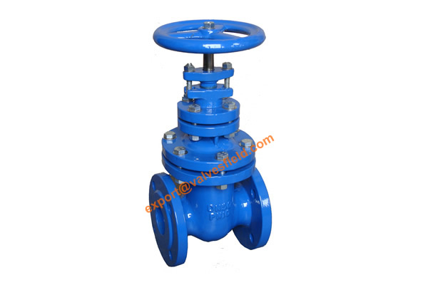 BS5163 metal Seated Non Rising Stem Gate Valve