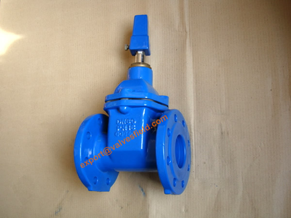 BS5163 Resilient Seated Non Rising Stem Gate Valve