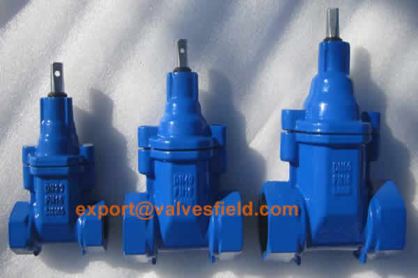 Threaded Gate Valve