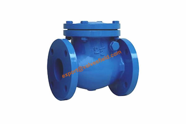 ANSI Swing Check Valve