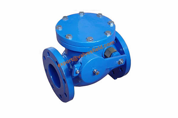 BS 5153 Swing Check Valve