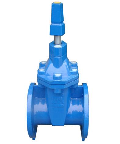 BS5163 gate valve