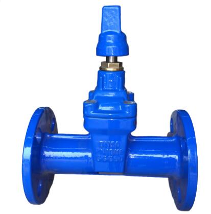 DIN3352 F5 gate valve