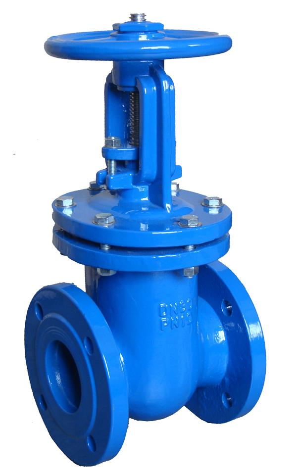 BS5163 gate valve